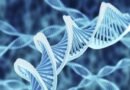 Hukum Penggunaan Gen Sintetik Manusia serta Rekombinan DNA Pembuatan Obat dan Vaksin