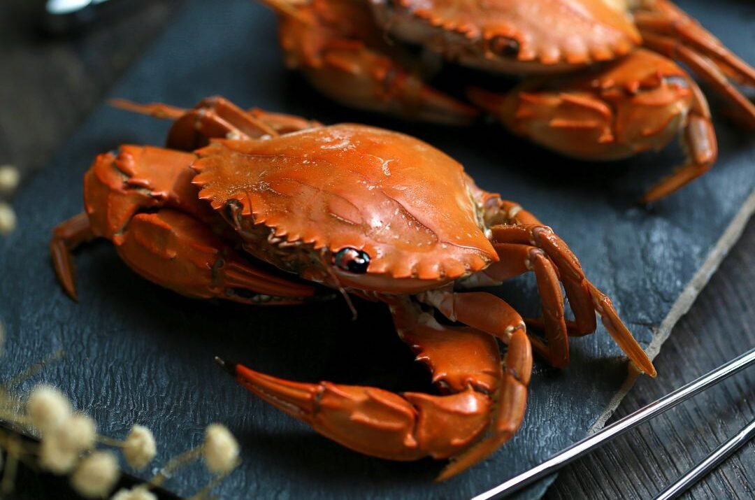 Mengonsumsi Kepiting, Halal atau Haram?