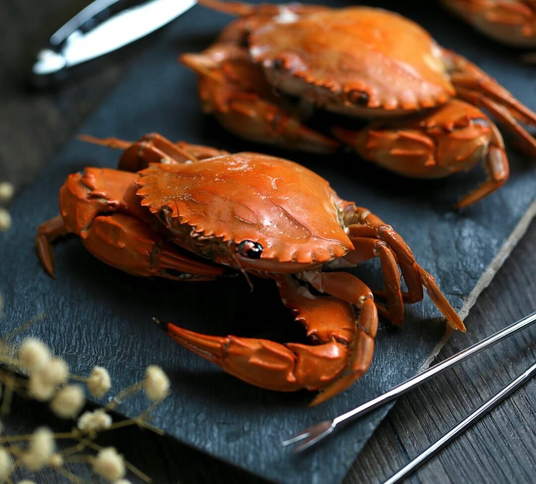 Hukum mengonsumsi kepiting halal atau haram menurut Fatwa MUI
